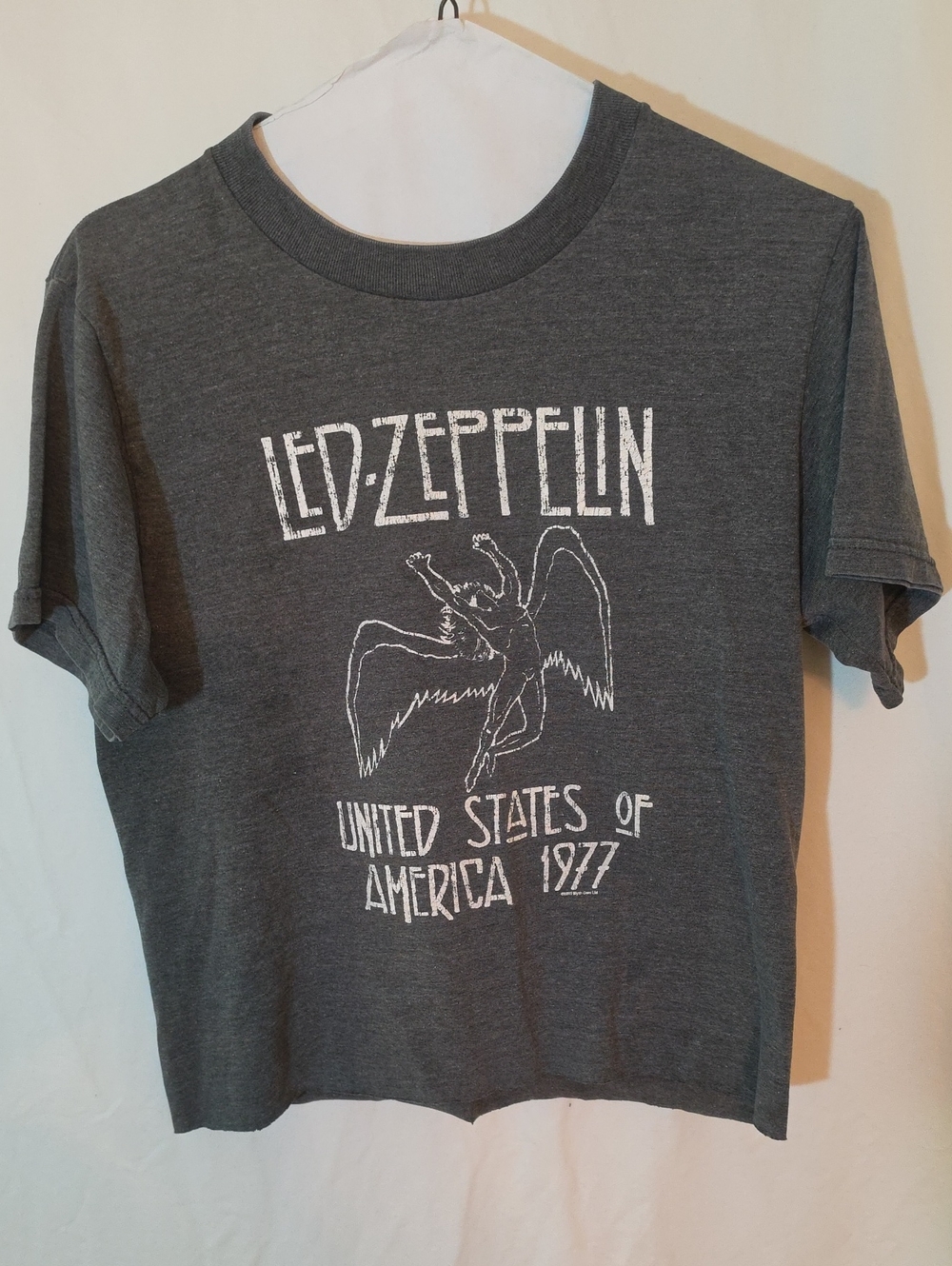 Fruit of the Loom Gray Tee with Multicolor Fruit Logo